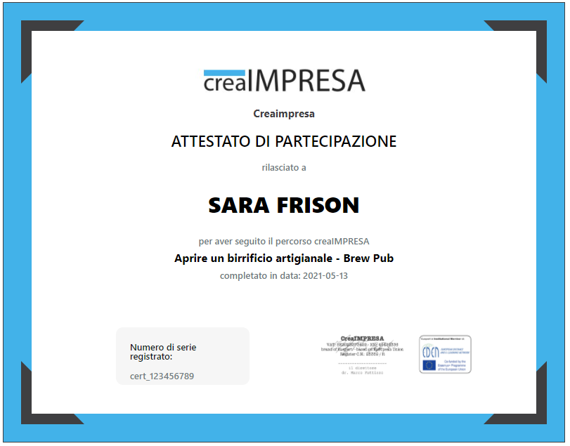 🍺 Aprire un birrificio (o micro-birrificio) artigianale - Brew Pub: guida, business plan ed AI - immagine 10