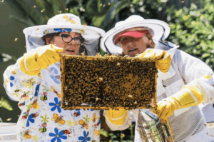 🐝 Avviare un'attività di allevamento api – guida, business plan ed AI