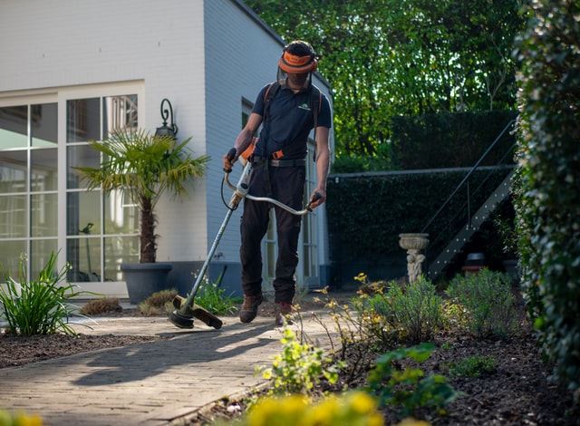 🌳 Aprire un’attività di giardinaggio, manutenzione e progettazione del verde - guida, business plan ed AI