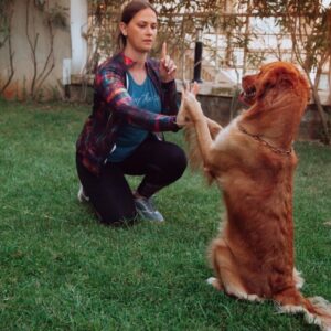 🐾 Aprire una pensione per animali, centro addestramento e pet therapy – guida, business plan ed AI