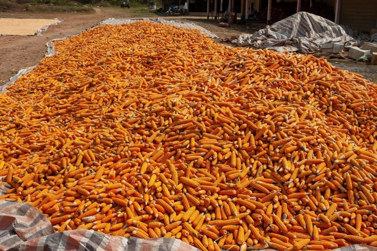 🔥 Avviare una produzione di pellet, cippato e bricchetti – guida, business plan ed AI - immagine 4