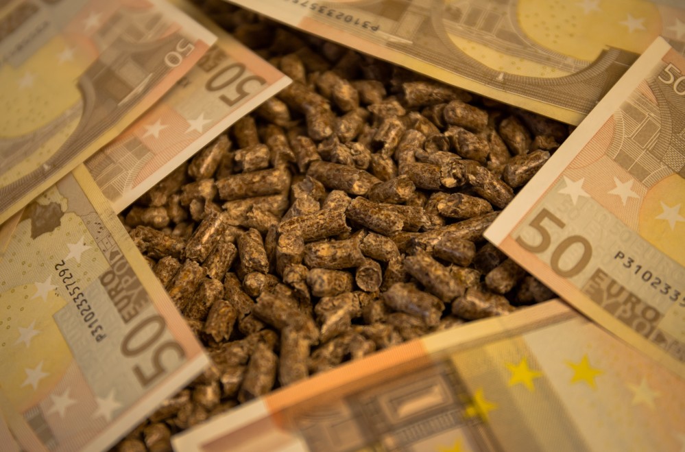 🔥 Avviare una produzione di pellet, cippato e bricchetti – guida, business plan ed AI - immagine 5