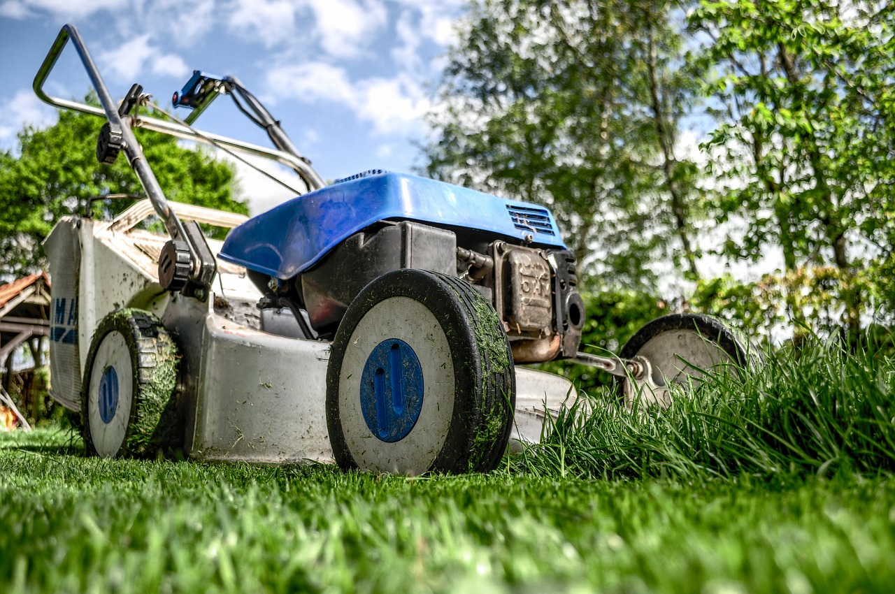 🌳 Aprire un’attività di giardinaggio, manutenzione e progettazione del verde - guida, business plan ed AI - immagine 8