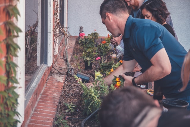 🌳 Aprire un’attività di giardinaggio, manutenzione e progettazione del verde - guida, business plan ed AI - immagine 6