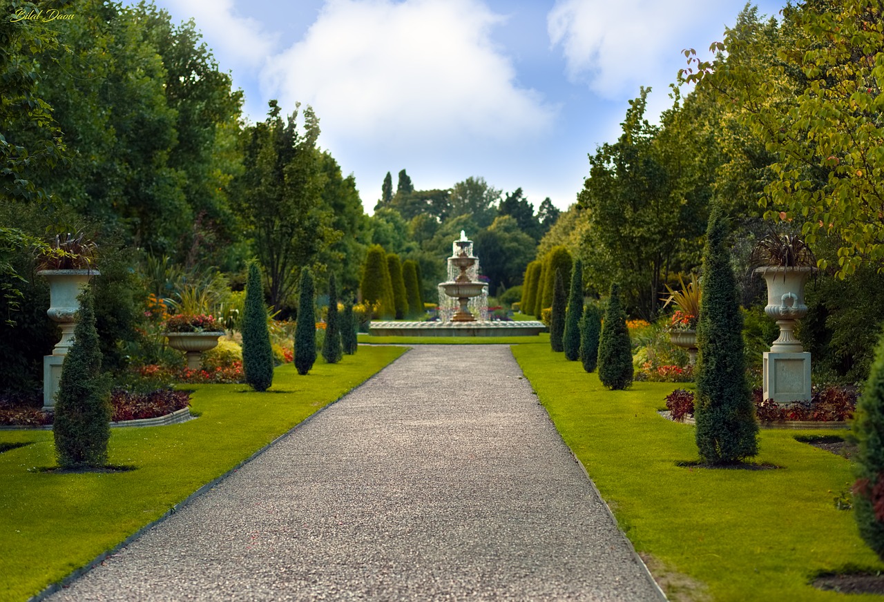 🌳 Aprire un’attività di giardinaggio, manutenzione e progettazione del verde - guida, business plan ed AI - immagine 2